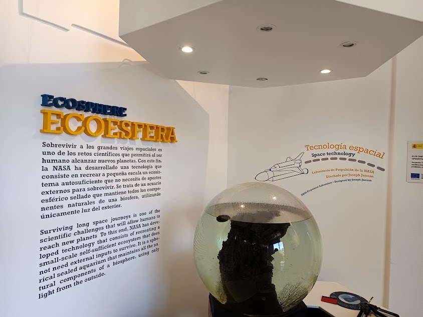 Letras corpóreas y vinilo de corte